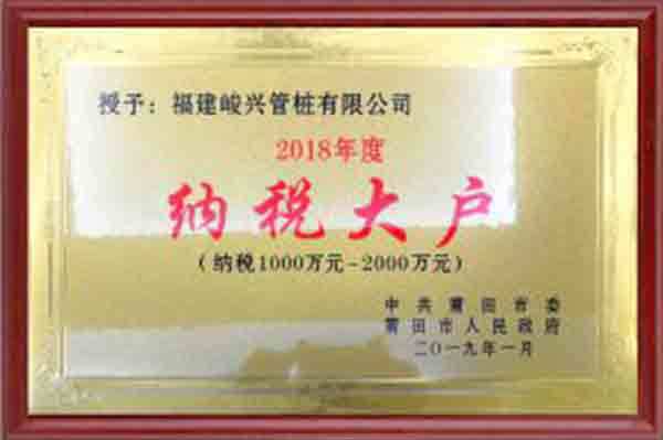 2018年度納稅大戶