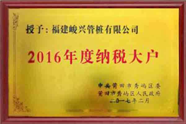 2016年度納稅大戶