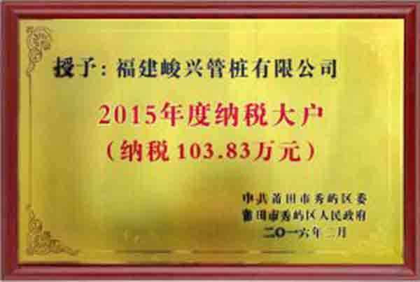 2015年度納稅大戶