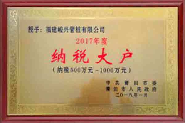 2017年度納稅大戶